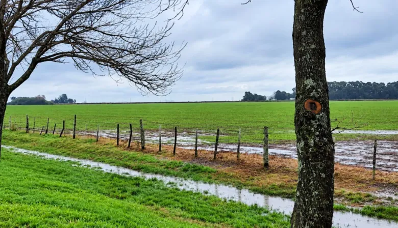 Vaccarezza rechazó la Ley que permite destinar fondos del campo a obras hídricas