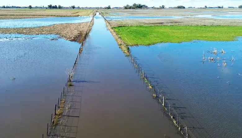 Por las inundaciones, declararon emergencia agropecuaria en 9 de Julio y en parte de Necochea