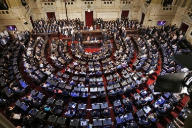 En el Congreso, Diputados ratificaron el salariazo en los haberes que reciben