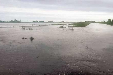 El Gobierno Nacional oficializó la Emergencia Agropecuaria en distritos del Interior bonaerense