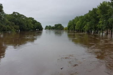 Pergamino bajo el agua: mas de 200 evacuados en el norte de la Provincia