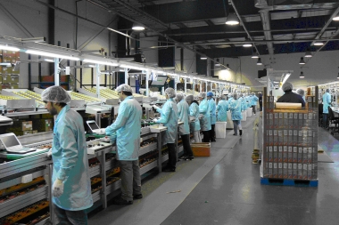 El sector industrial de la Provincia declaró su preocupación por el próximo aumento  de la electricidad