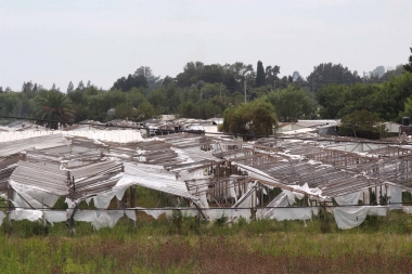 Provincia otorgó subsidio al cordón flori-frutihortícola de La Plata por emergencia agropecuaria