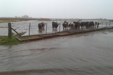 Declaran estado de emergencia por inundaciones en Colón, Junín y Rojas