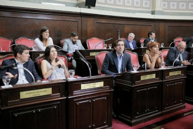 Legisladores bonaerenses reclamaron la restitución de las pensiones por discapacidad