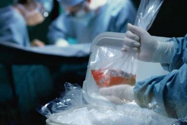 Desde Salud promocionarán la donación de órganos en las escuelas durante las PASO