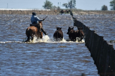 Preocupante: en General Villegas cerraron el 40 por ciento de los tambos por las inundaciones