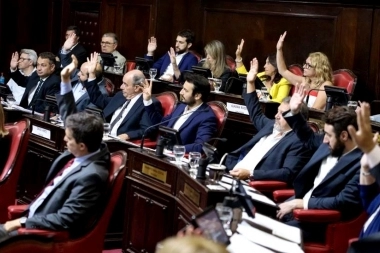 Senadores repudiaron los dichos de Alberto sobre el origen de los argentinos