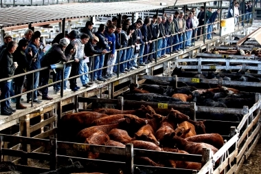 Fueron 121 años: cerró el Mercado de Liniers y se traslada en Cañuelas