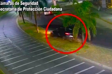 Como Canapino en Balcarce: siguió de largo en la curva y taló una palmera