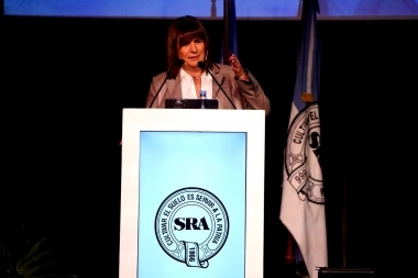 Bullrich explicó sus medidas para el campo: “Austeridad absoluta del Estado” y “eliminar el cepo”