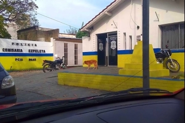 Violento motín: para reclamar por sus condiciones de encierro, las presas incendiaron una celda