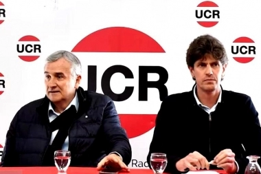 En medio de un clima tenso, la UCR felicitó a Milei en un escueto comunicado