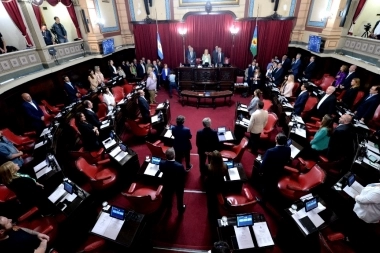 Crimen de Tomás: bloque de Juntos en el Senado bonaerense le pidió explicaciones a Javier Alonso