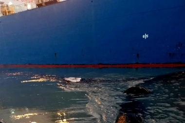 Alarmas en Bahía Blanca por un nuevo derrame de petróleo sobre la ría