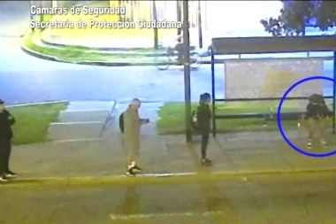 Al cocodrilo ebrio que se duerme, dos jóvenes rateros lo punguean