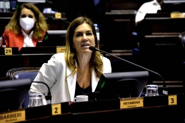 Retamoso y la ruptura del PRO en la Legislatura: “Nosotros fuimos electos por la boleta de Patricia Bullrich”