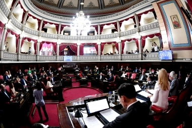 “Es inconstitucional”: senadores PRO no apoyarán el cambio en las sentencias judiciales por despidos