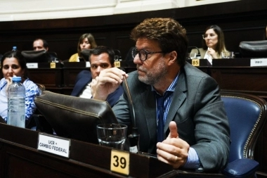 “No puede perder la planta de GNL por un capricho”, le advirtió Garciarena a Kicillof