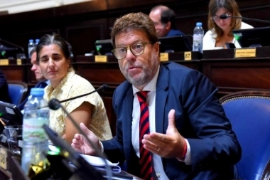Garciarena se quejó de la “inacción” de Kicillof sobre el RIGI bonaerense: “Es un Gobierno imprevisible”