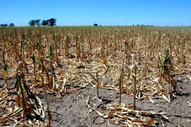 Casi 1 año después, Milei aprobó el pedido de emergencia agraria en territorio bonaerense