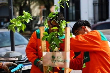 San Isidro: el Plan Integral de Arbolado ya sumó 1500 nuevos árboles y se hicieron 3000 podas