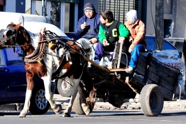 Delmonte busca eliminar la tracción animal en la Provincia con un programa de sustituciones