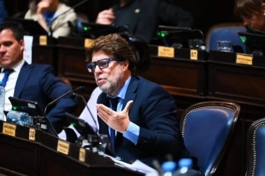 Garciarena volvió a cargar contra Kicillof por la situación de IOMA: “No escucha, no gestiona”