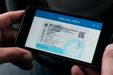 Llegó la cédula azul digital: cómo habilitar a otra persona a conducir con la app "Mi Argentina"