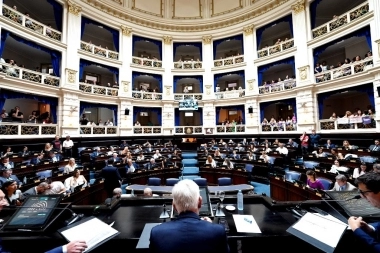 Cuota alimentaria y prohibición de cortes de luz: qué otros proyectos se aprobaron en Diputados