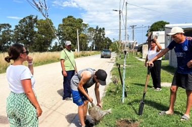 Adolfo Gonzales Chaves reafirma su compromiso ambiental con nuevas plantaciones en el distrito