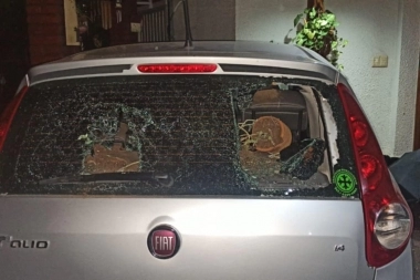 Enojada porque no la atendían, saltó la reja y rompió un auto con macetazos en Tres de Febrero