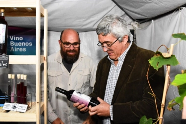 Degustación de vinos 100% bonaerenses: se llevó a cabo la 10º Fiesta Provincial de la Vendimia