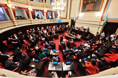 Senadores radicales aprobaron la suspensión de las PASO, pero criticaron la demora por la interna del peronismo