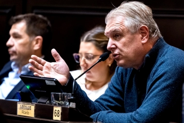 Diputado massista votó en contra de la suspensión de las PASO en la Provincia: críticas para dentro y filoso discurso