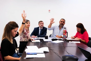 Diputados piden crear un Consejo contra el Negacionismo para la Provincia de Buenos Aires