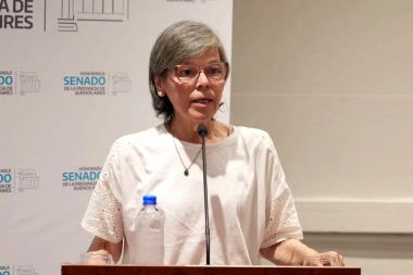 Diputada bonaerense radical pidió revelar información en colegios privados e insistió en tratar sobre la ludopatía infantil
