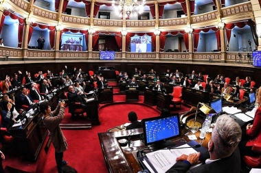 Senadores libertarios pidieron volver a votar las reelecciones indefinidas por un gris en el reglamento