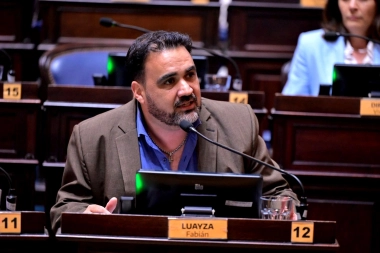 Luayza pidió un homenaje por la memoria de Mussi en la Cámara de Diputados bonaerense