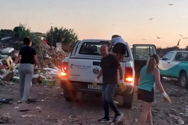Basura y paro: la intendenta de un municipio bonaerense puso a su gabinete a juntar residuos