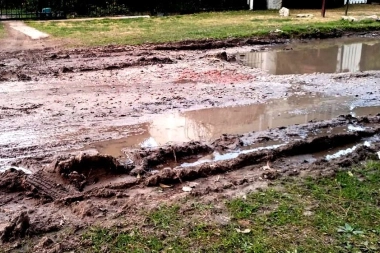 Un proyecto acorrala al Municipio de Mar del Plata y expone el estado de las calles y plazas