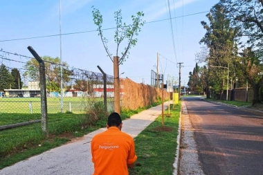 Pergamino fue reconocido por plantar más de 1.400 árboles y los vecinos también son parte