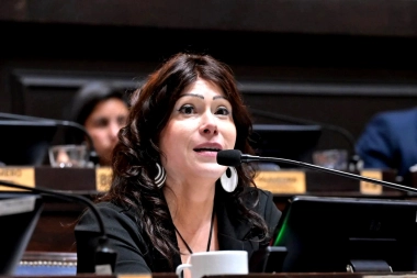 Diputada de La Cámpora criticó a Milei por los incendios en la Patagonia y habló de intereses ocultos