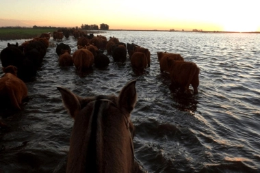 Emergencia agropecuaria: el Ejecutivo bonaerense prorrogó beneficios en el sudoeste