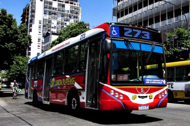 Se abrieron los sobres de la licitación del transporte público en La Plata para los próximos 12 años