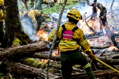 Junín en alerta ígnea: 23 incendios en 3 días y más autos quemados