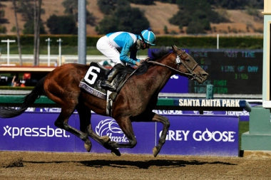 Más de $200 millones en juego en el Clásico Calidoscopio: la gran atracción del Hipódromo de San Isidro