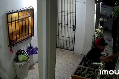 Bronca y tensión en San Isidro por un sujeto que se mete a robar en las viviendas