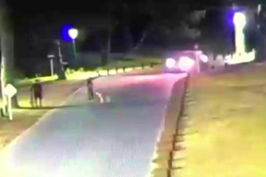 Investigan un incidente vial que acabó con la muerte de una mujer en Villa Gesell