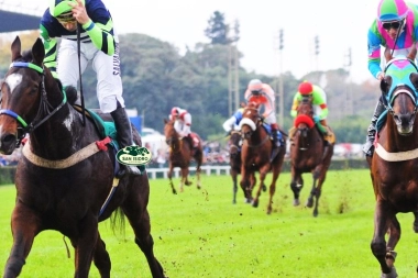 Turf en el Hipódromo de San Isidro: el Clásico Granaderos será la prueba central de una jornada fundamental